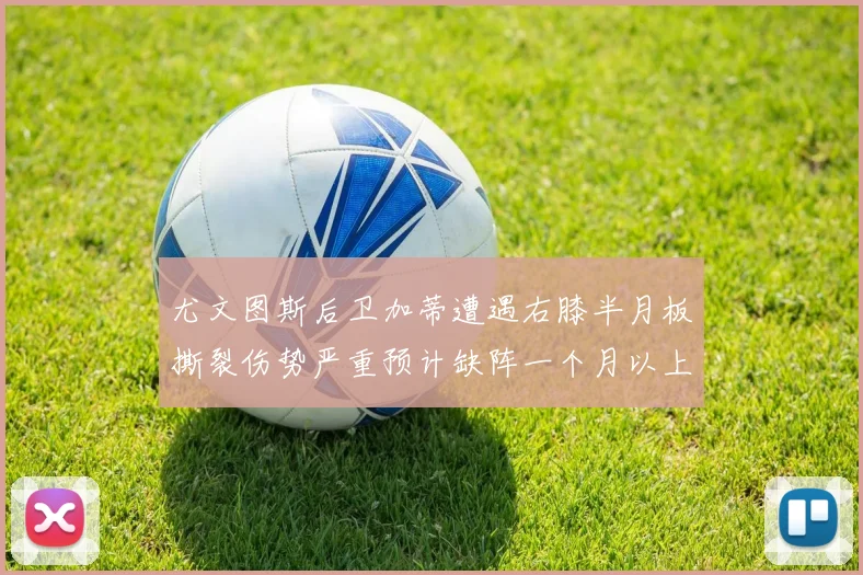 尤文图斯后卫加蒂遭遇右膝半月板撕裂伤势严重预计缺阵一个月以上