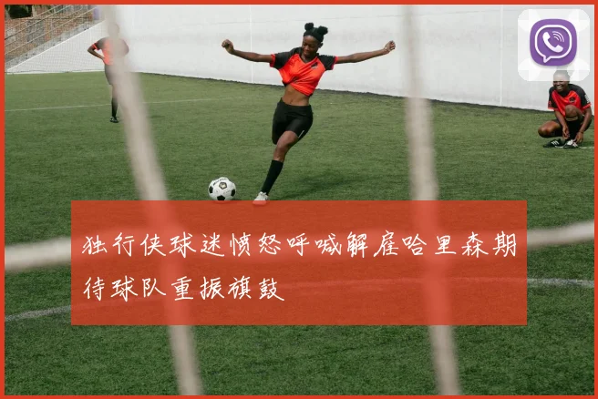 独行侠球迷愤怒呼喊解雇哈里森期待球队重振旗鼓