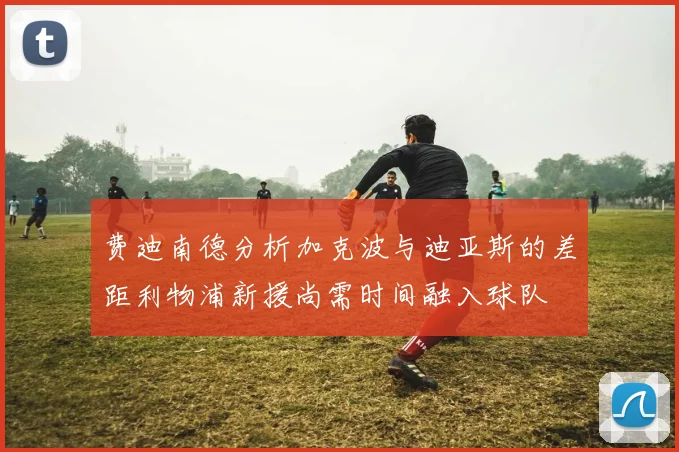 费迪南德分析加克波与迪亚斯的差距利物浦新援尚需时间融入球队